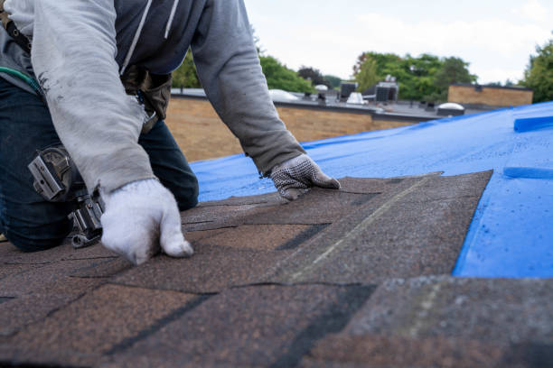 Roof Waterproofing Services in Heidelberg, TX