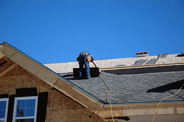 Best Roof Maintenance Services  in Heidelberg, TX