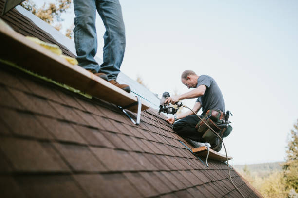 Professional Roofing Contractor in Heidelberg, TX